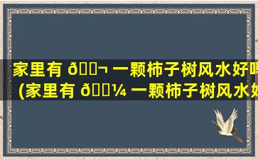 家里有 🐬 一颗柿子树风水好吗(家里有 🌼 一颗柿子树风水好吗*
)
